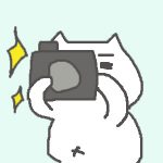 近状報告です。